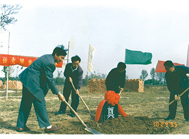 请填写问题