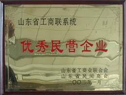 山东民营优异企业