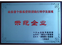 山东省树模企业