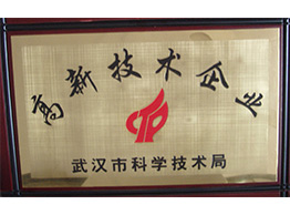 武汉市高新手艺企业